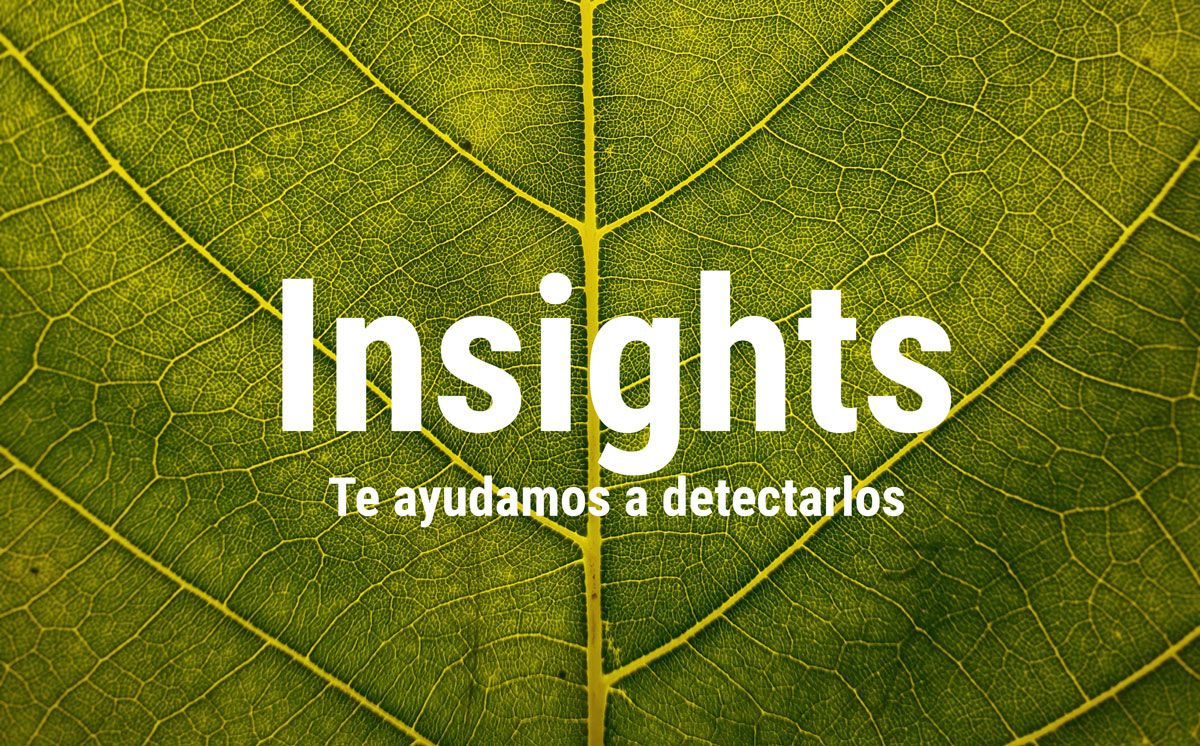 insights3